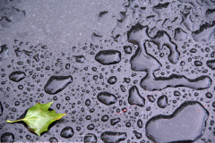 Omjeheen3web